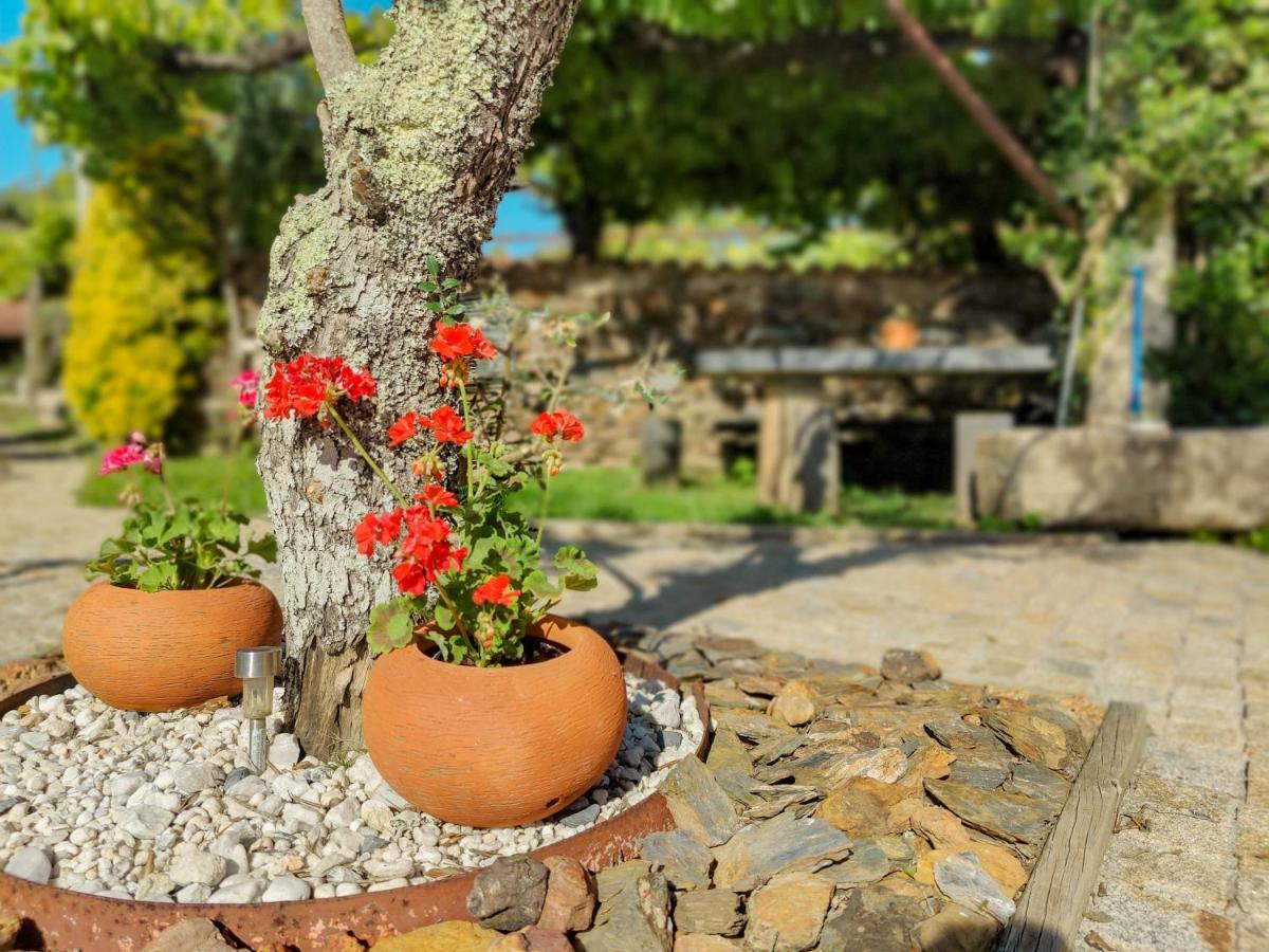 Casa Do Casal - Country House With Swimming Pool 维亚纳堡 外观 照片
